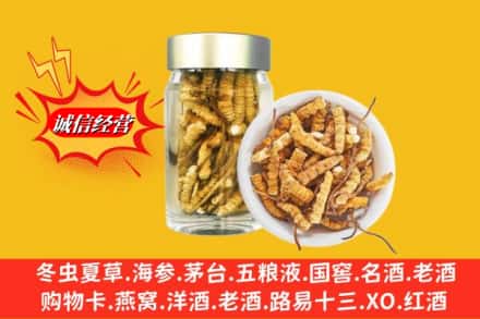 阳泉盂县回收散虫草